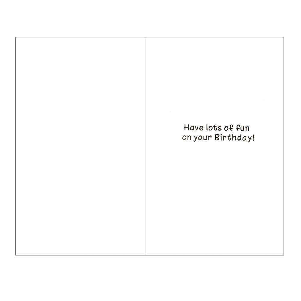 Front of this 3rd birthday card features an illustration of a lion wearing a starry party hat, paired with a message.