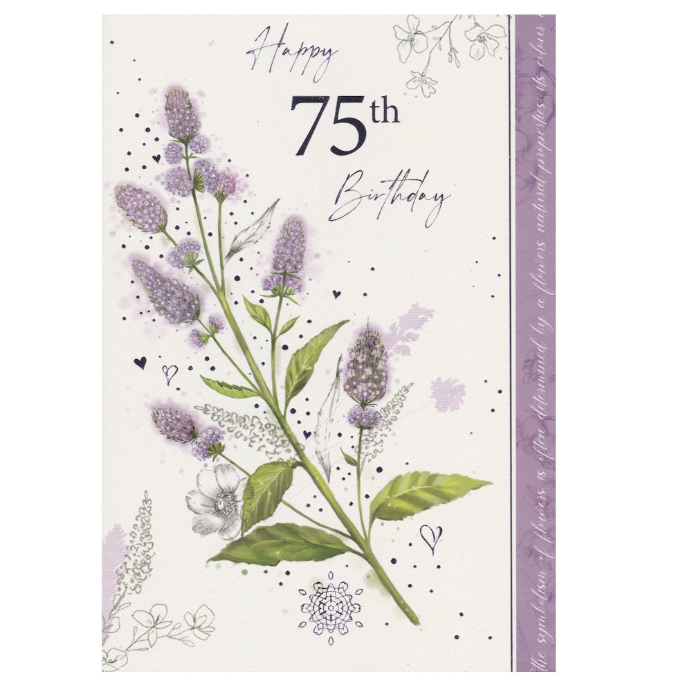 Front of this 75th birthday card features the text 'Happy 75th Birthday' with an illustration of the lavender flower.