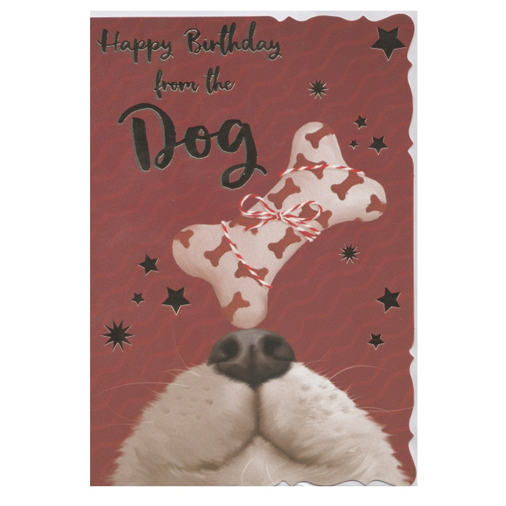 Birthday Card From the Dog