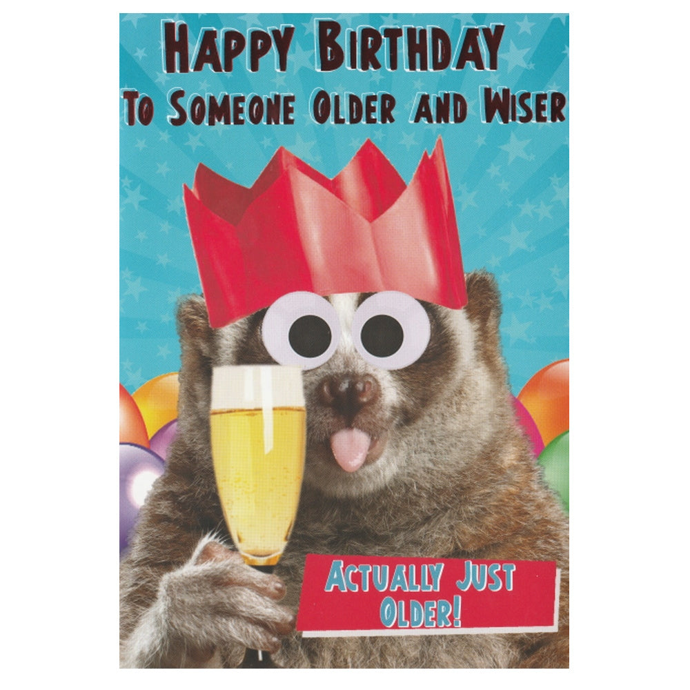 A joke birthday card featuring a photograph of a raccoon wearing a red party hat and holding a glass of champagne, with a message that reads 'Happy Birthday to someone Older and Wiser'.