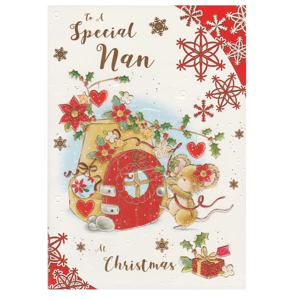 Christmas Card Special Nan