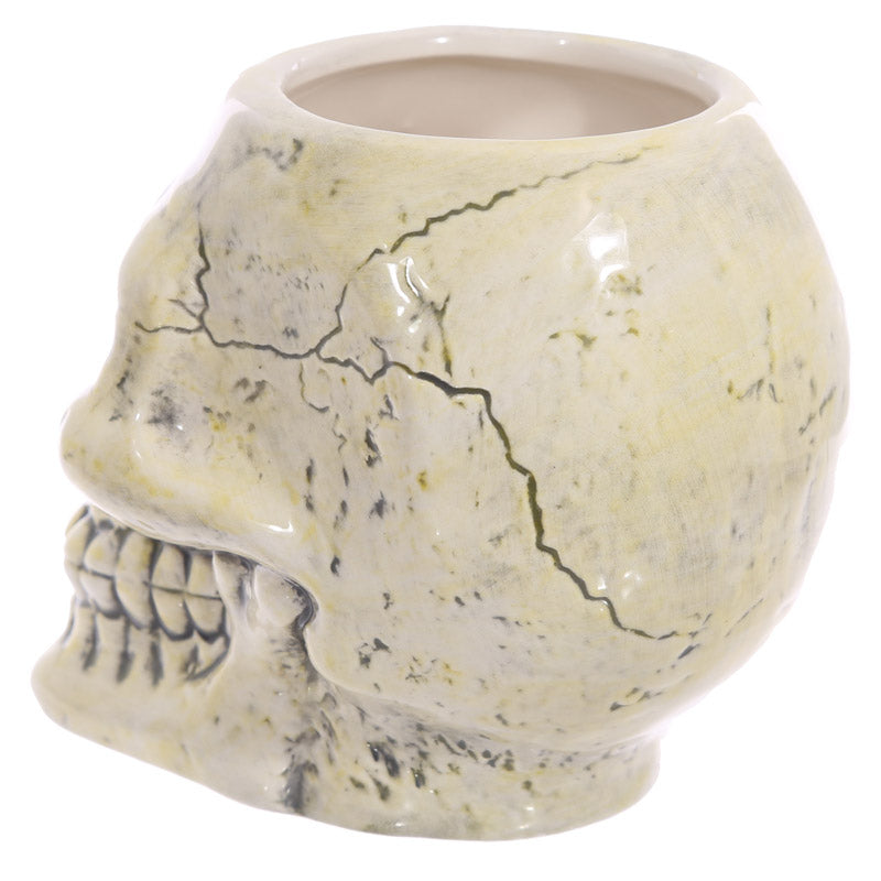 Ancient Skull Shaped Mug