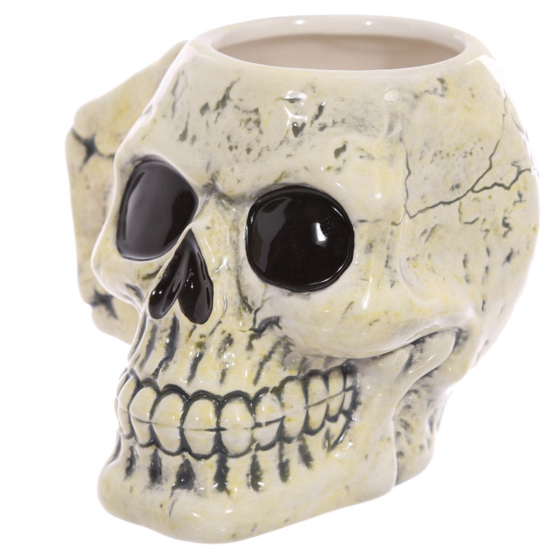 Ancient Skull Shaped Mug