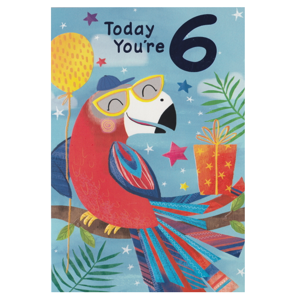 Birthday Card Age 6 Parrot