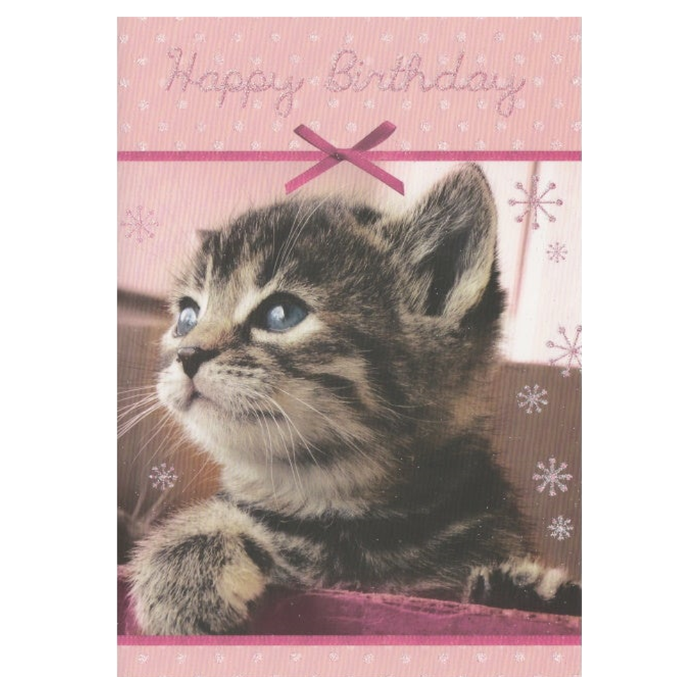 Birthday Card Bow & Cat