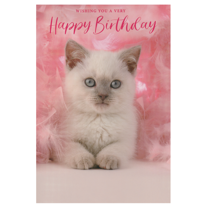 Birthday Card Cat Eyes