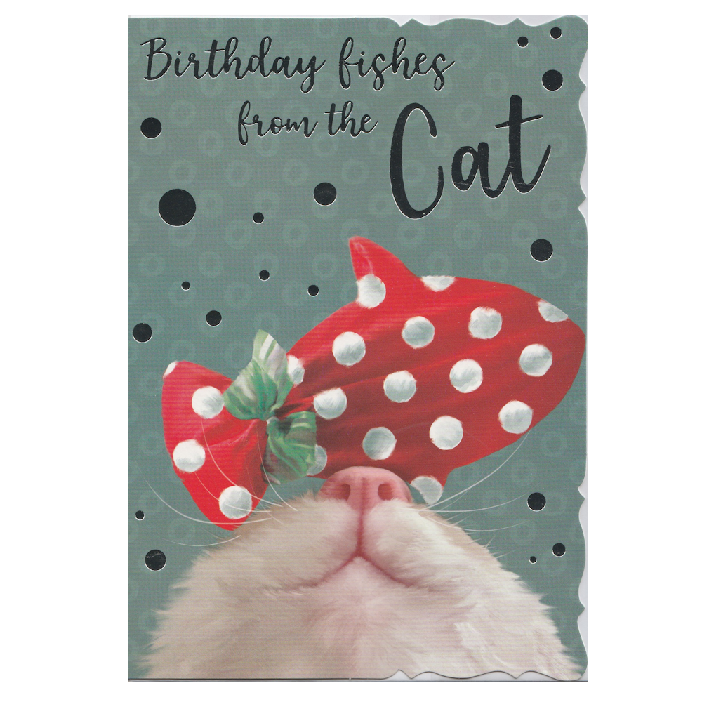 Birthday Card Cat