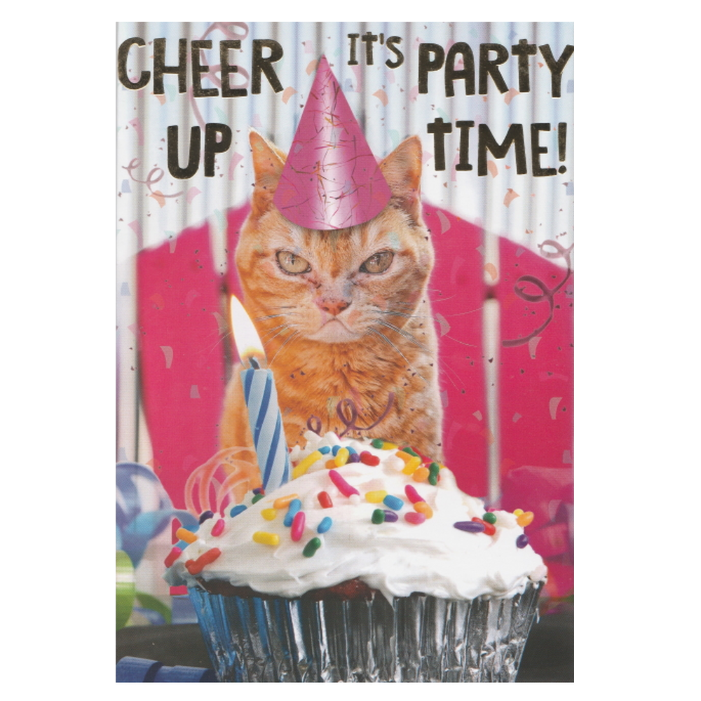 Birthday Card CHEER UP