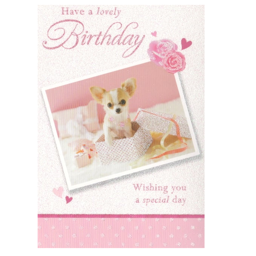 Birthday Card Chihuahua Box