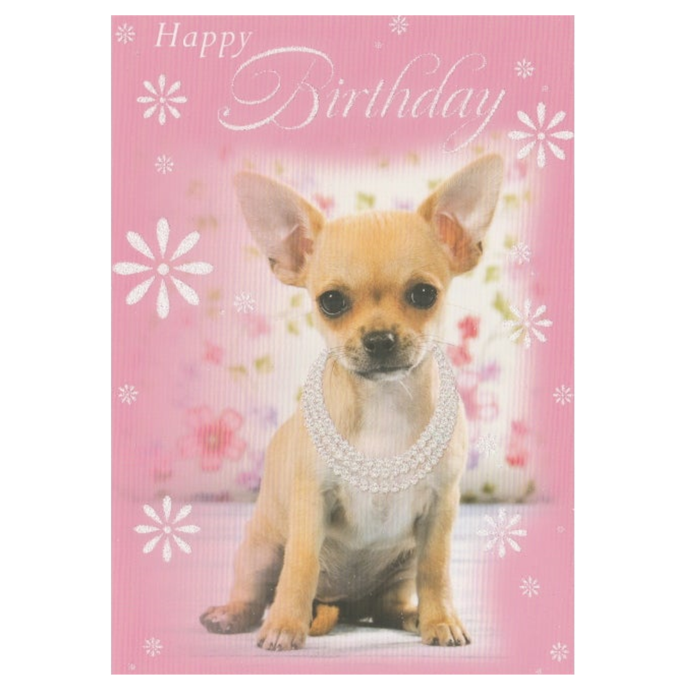 Birthday Card Chihuahua