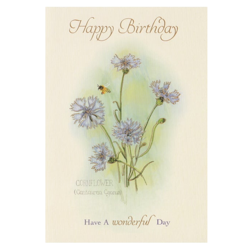 Birthday Card Cornflower