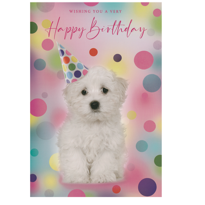 Birthday Card Dog Party Hat