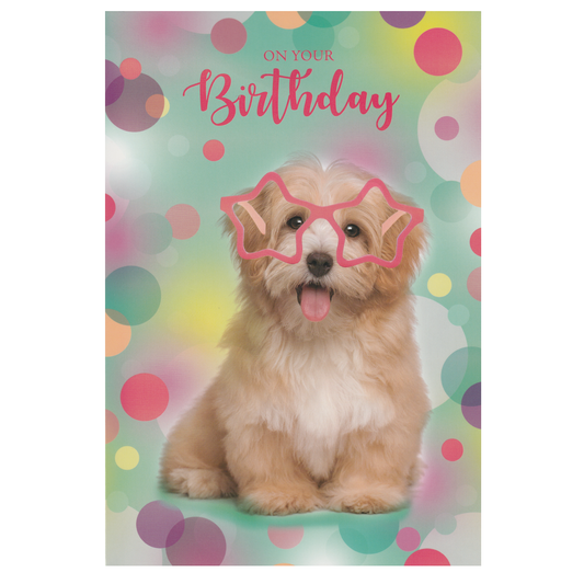 Birthday Card Dog Star Glasses