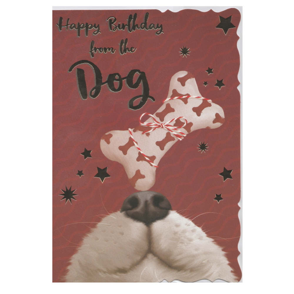 Birthday Card Dog