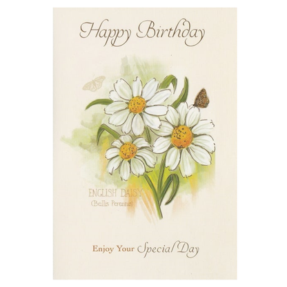 Birthday Card English Daisy