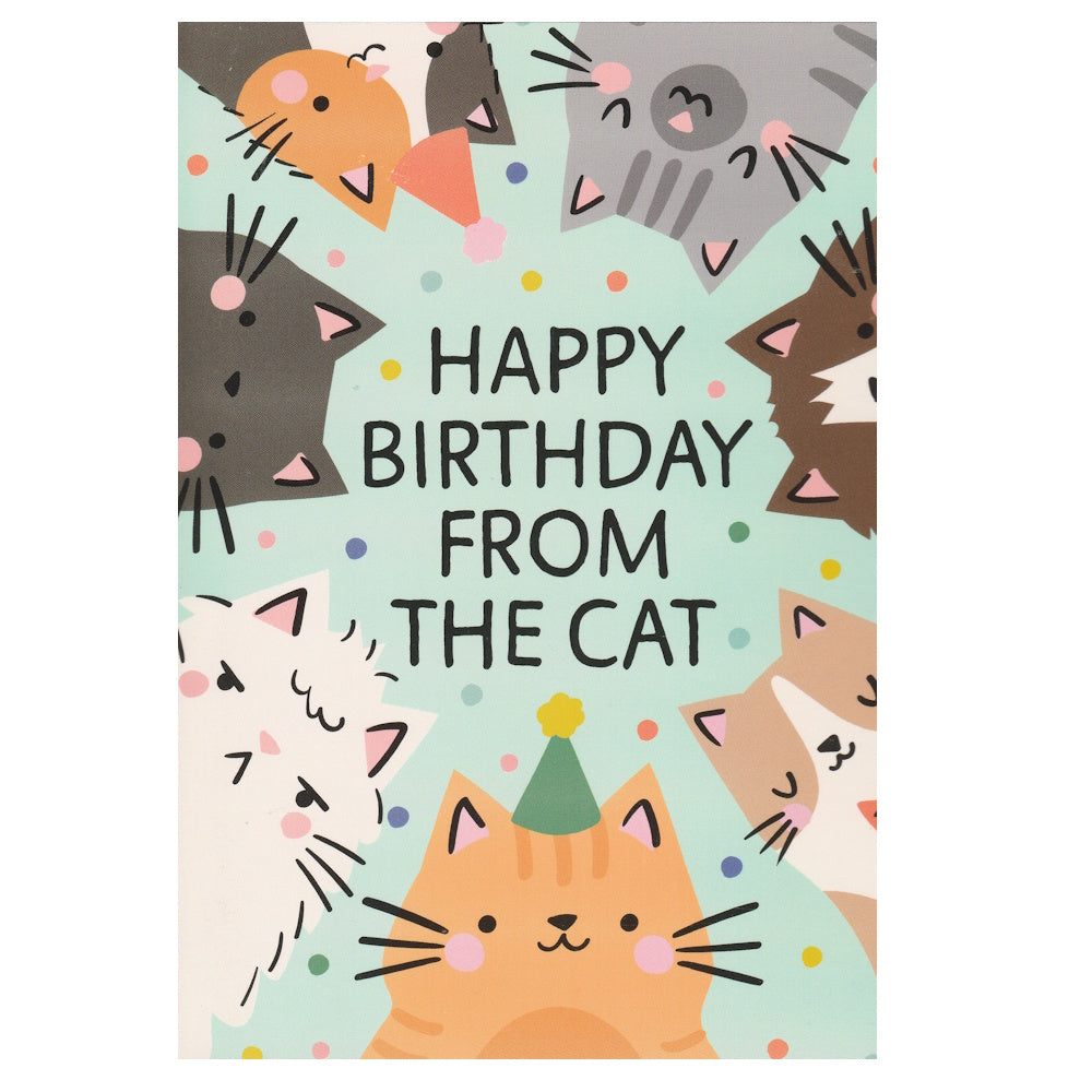 Front of this card features an illustration of cartoon colourful cats with the text 'Happy Birthday from the cat'.