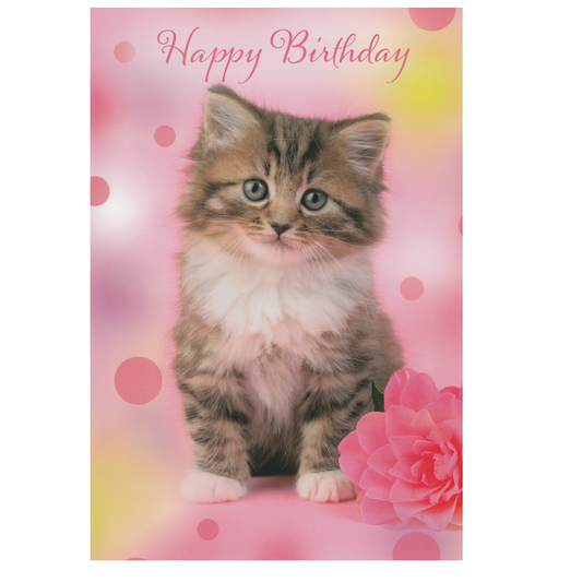Birthday Card Kitten Flower
