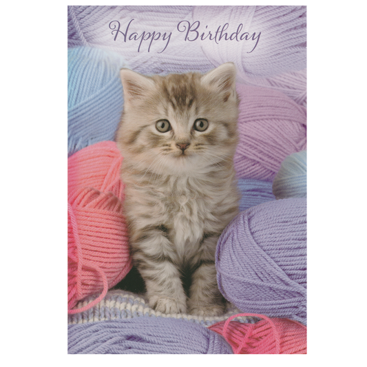 Birthday Card Knitting Kitten