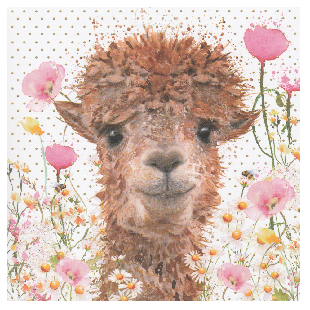 Birthday Card Llama