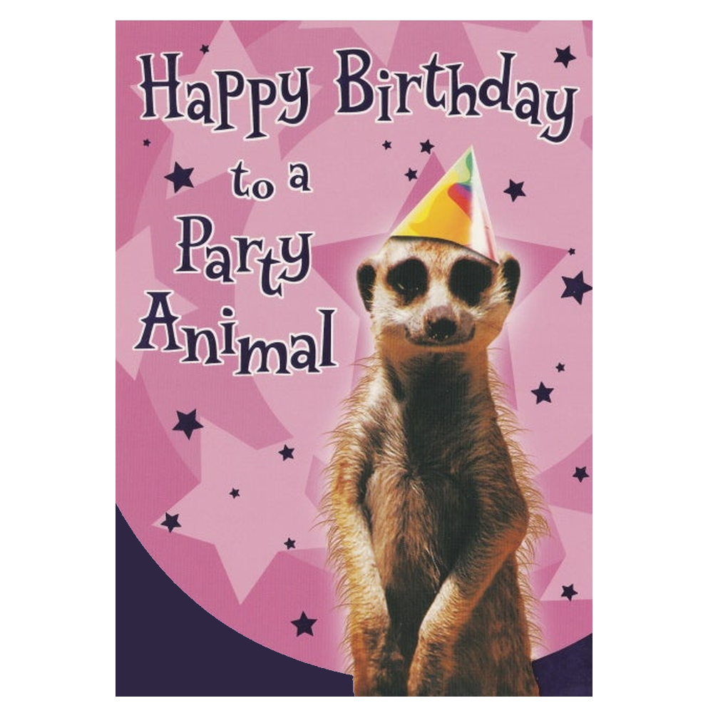 Birthday Card Meerkat