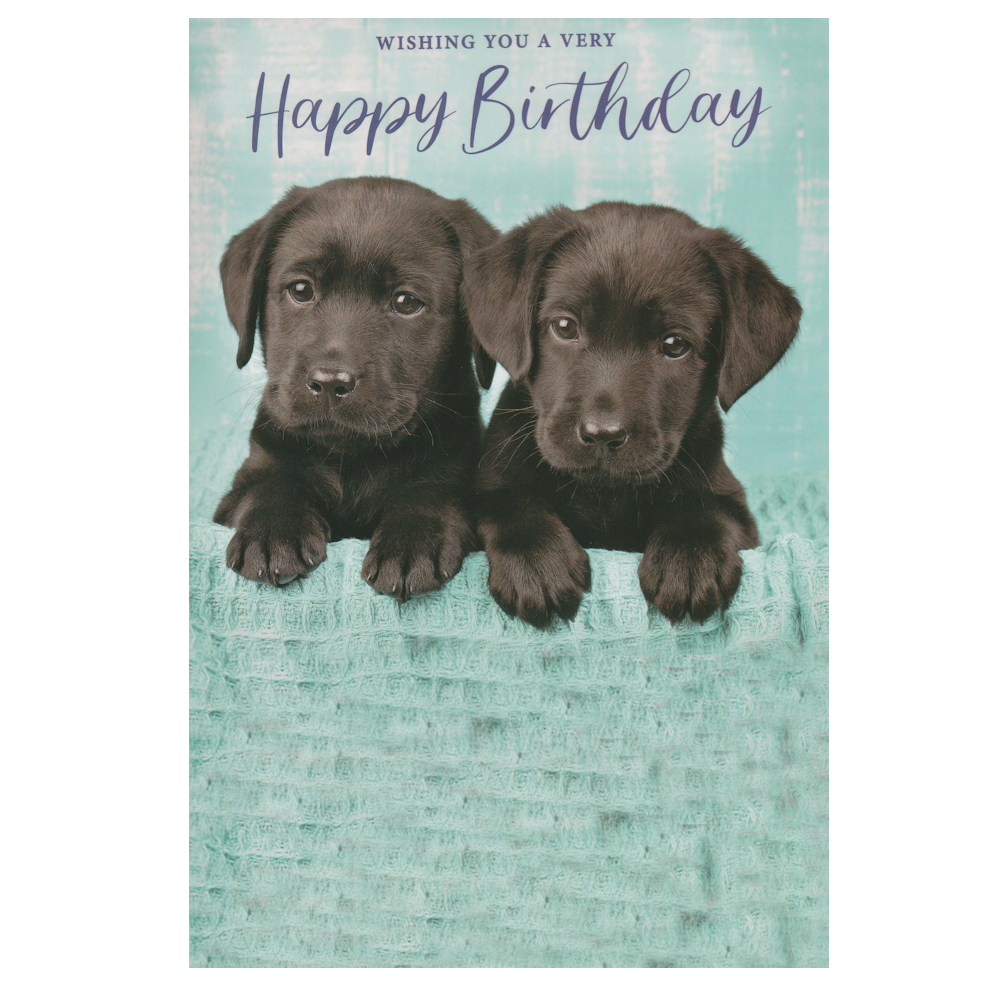 Birthday Card Puppies