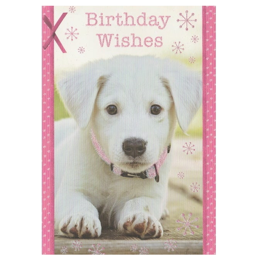 Birthday Card Puppy Wishes