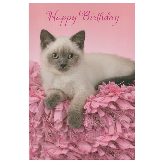 Birthday Card Siamese Cat