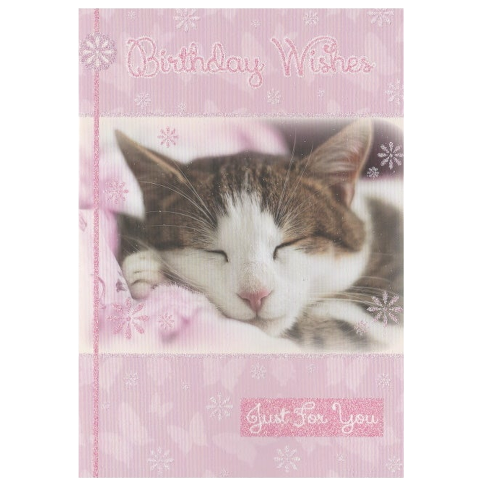 Birthday Card Sleeping Cat