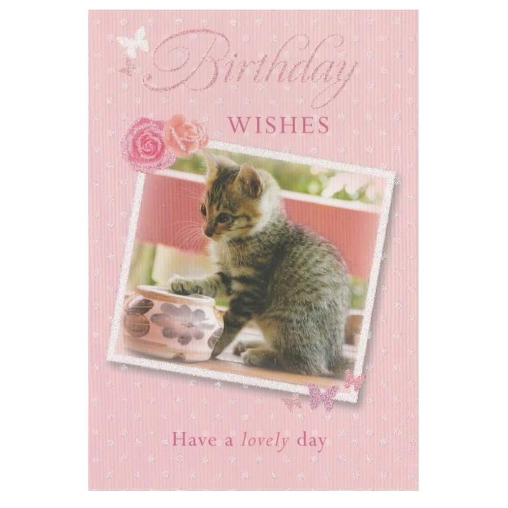 Birthday Card Wishes Kitten