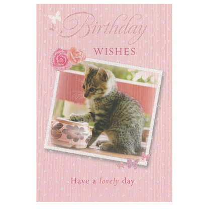 Birthday Card Wishes Kitten