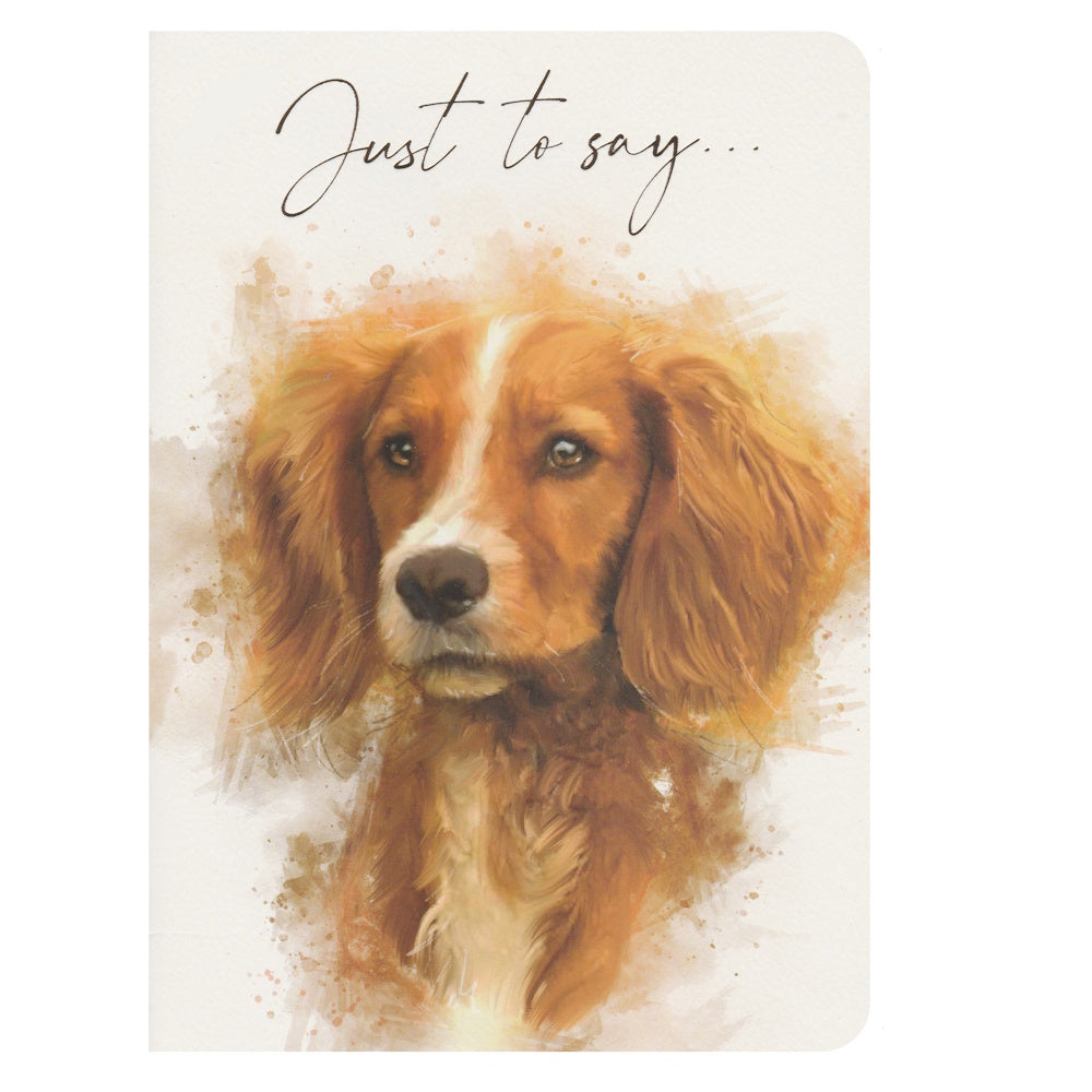 This blank just to say card has an illustration of a springer spaniel dog with brown eyes, with the text 'Just to Say'. Gold foil detail.