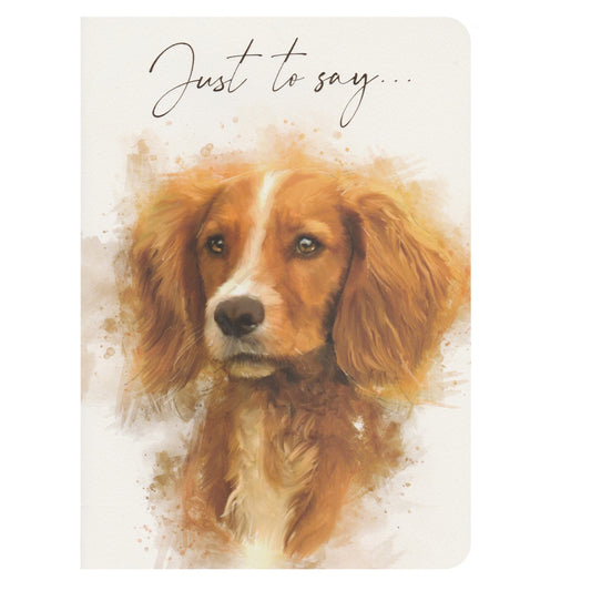 Front of this blank greeting card features an illustration of a springer spaniel dog with brown eyes, with the text 'Just to Say'.