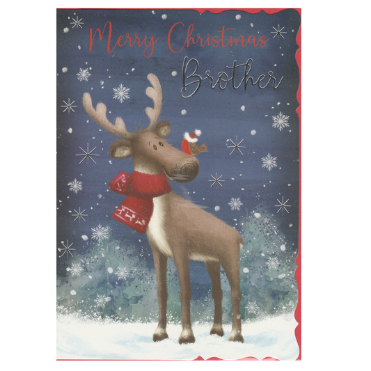 Christmas Card Brother Reindeer