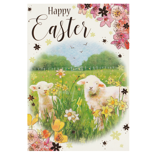 Easter Card Lambs