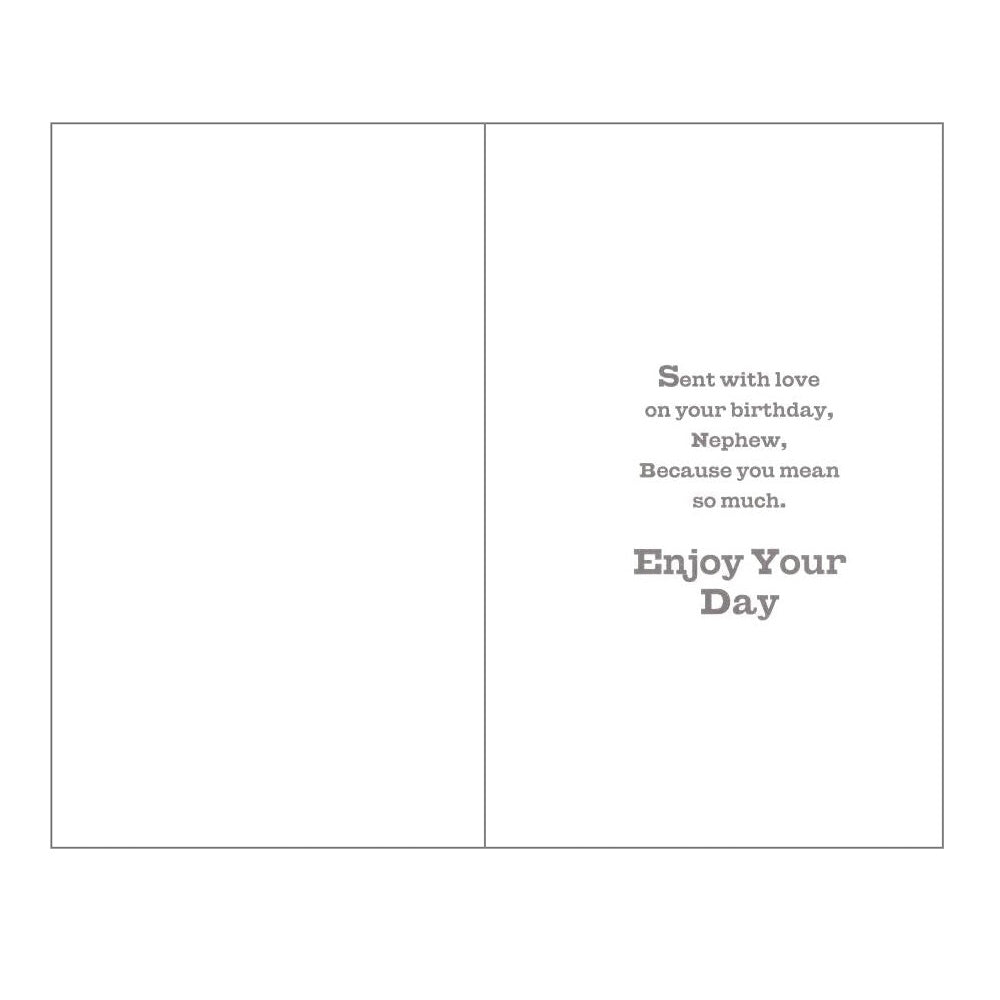 Front of this card features an illustration of teddy bears with the text 'NEPHEW HAVE A GREAT DAY'.