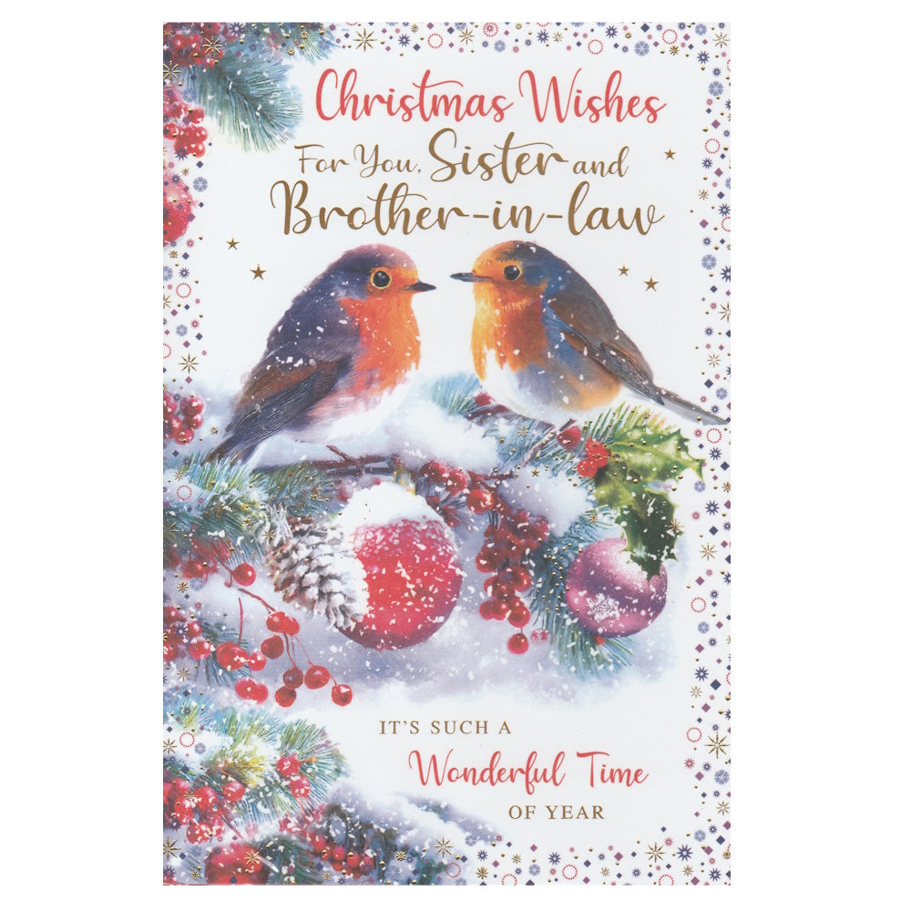 Front of this sister and brother-in-law Christmas card features an illustration of two robins sat on a snow topped tree branch, paired with a message.