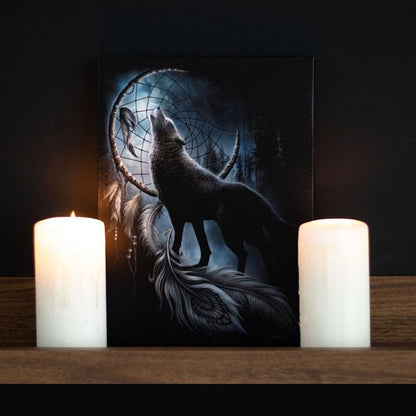 19x25cm From Darkness Canvas Plaque by Spiral Direct